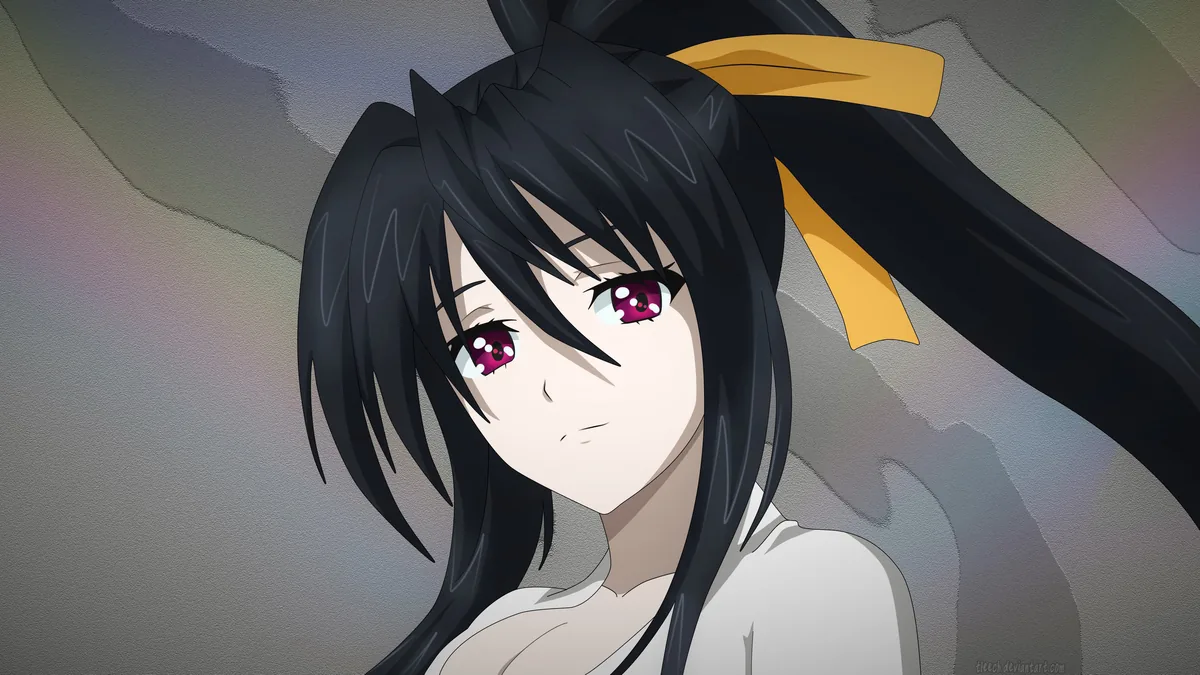 Akeno Himejima — gallery 22