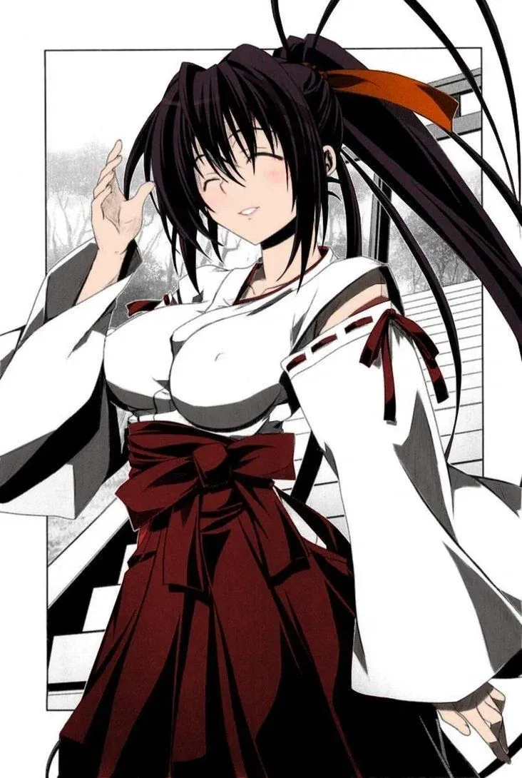 Akeno Himejima — gallery 10